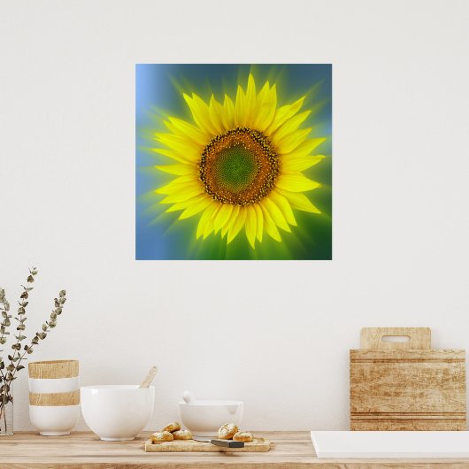 eine helle Sonnenblume Poster (Küche)