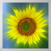 eine helle Sonnenblume Poster (Vorne)