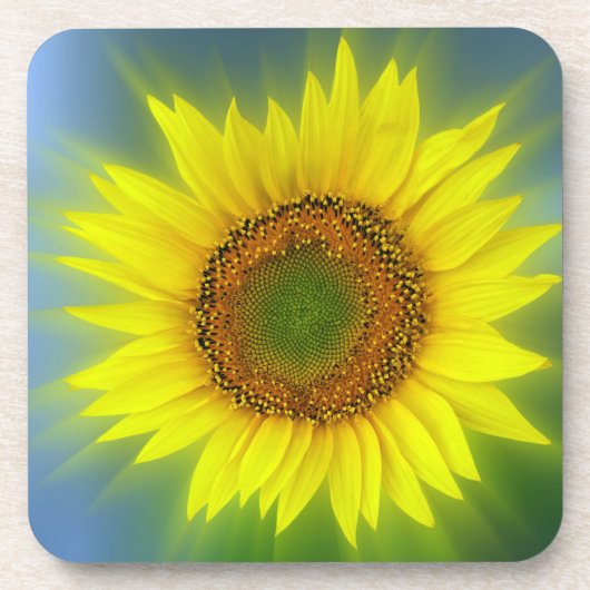 eine helle Sonnenblume Untersetzer (Vorderseite)