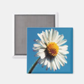 Eine helle, weiße Dämmerung unter einem großen bla Magnet (Vorderseite/Rückseite)