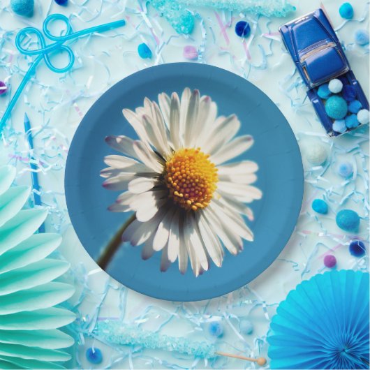 Eine helle, weiße Dämmerung unter einem großen bla Pappteller (Party)