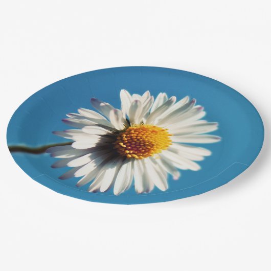 Eine helle, weiße Dämmerung unter einem großen bla Pappteller (Schrägansicht)