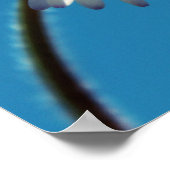 Eine helle, weiße Dämmerung unter einem großen bla Poster (Ecke)