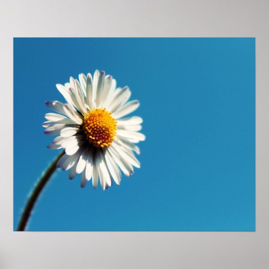 Eine helle, weiße Dämmerung unter einem großen bla Poster (Vorne)