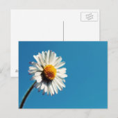 Eine helle, weiße Dämmerung unter einem großen bla Postkarte (Vorne/Hinten)