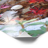 Eine Herbstserie Fotodruck (Ecke)