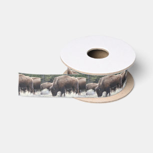 Eine Herde von Brown-Bison lassen in einer Satinband