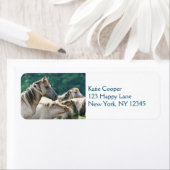 Eine Herde von Brumby Pferden aus Australien (Insitu)