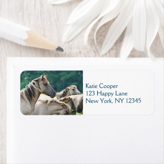 Eine Herde von Brumby Pferden aus Australien (Insitu)