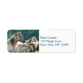 Eine Herde von Brumby Pferden aus Australien (Vorne)