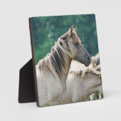 Eine Herde von Brumby Pferden aus Australien Fotoplatte (Vorderseite)