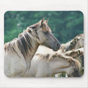 Eine Herde von Brumby Pferden aus Australien Mousepad
