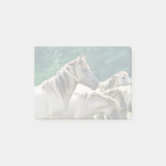 Eine Herde von Brumby Pferden aus Australien Post-it Klebezettel (Vorderseite)