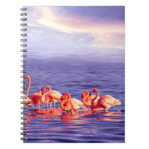 Eine Herde von schönen rosa Flamingos gegen eine P Notizblock