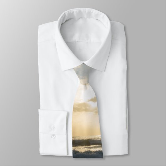 Eine herrliche Krawatte am Morgen (Gebunden)