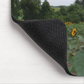 eine hohe Sonnenblume Mousepad (Ecke)