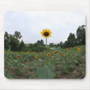 eine hohe Sonnenblume Mousepad