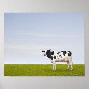 Eine Holstein-Milchkuh mit Stellen in Form Poster