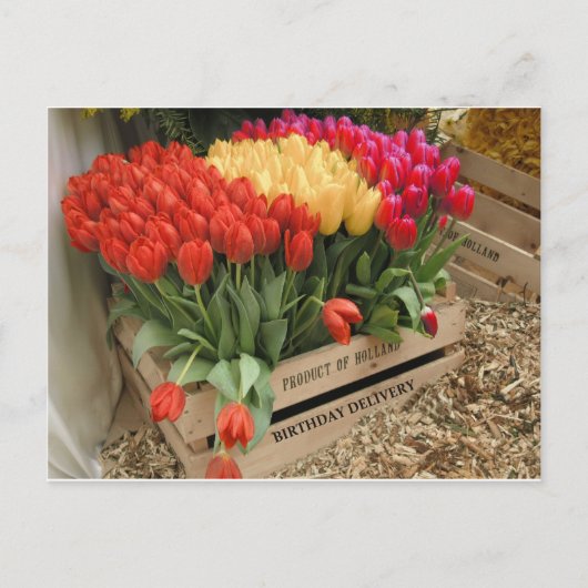 Eine Holzkiste mit Tulpen Postkarte (Vorderseite)