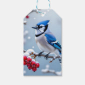 Eine Hübsche Blue Jay auf einer Schneeballweihnach Geschenkanhänger (Vorderseite)