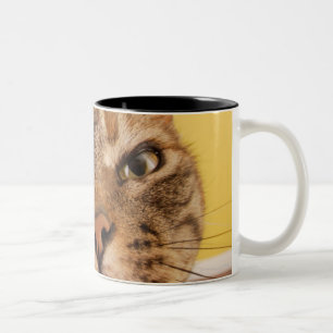 Eine humorvolle kleine Katze sitzt auf einem Zweifarbige Tasse