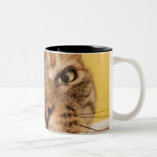 Eine humorvolle kleine Katze sitzt auf einem Zweifarbige Tasse (Rechts)