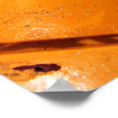 Eine Hundeperspektive Poster (Ecke)