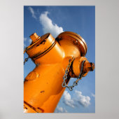 Eine Hundeperspektive Poster (Vorne)