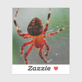 Eine hungrige Spinne wartet Aufkleber