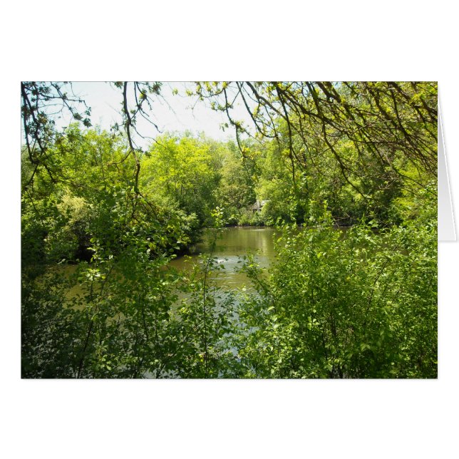 Eine Hütte versteckt (Vorderseite (Horizontal))