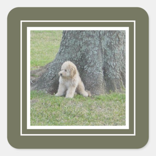 Eine individuell angepasste Fotoplatte grün und we Quadratischer Aufkleber (Vorderseite)