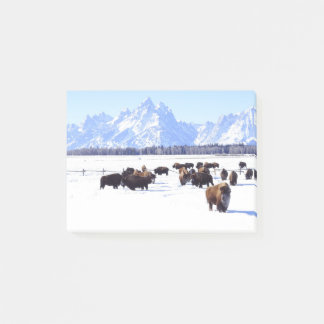 Eine interessante neue Post-it-Zettelart Post-it Klebezettel