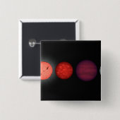 Eine Interpretation, die braune Zwerge vergleicht Button (Vorne & Hinten)