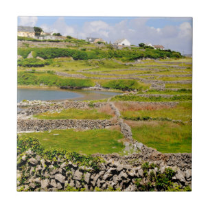 Eine irische Steinmauer Fliese