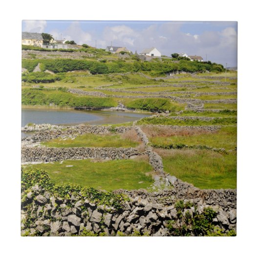 Eine irische Steinmauer Fliese (Vorderseite)