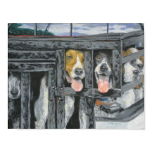 "Eine Jagd, die wir gehen werden"