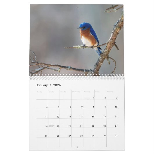 Eine Jahreszeit im Shenandoah-Nationalpark Kalender (Jan 2026)