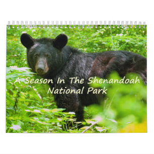 Eine Jahreszeit in Shenandoah Nat. Park-Vulkanvers Kalender