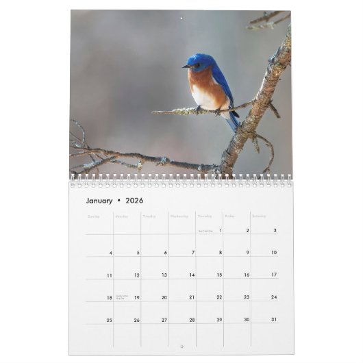 Eine Jahreszeit in Shenandoah Nat. Park-Vulkanvers Kalender (Jan 2026)