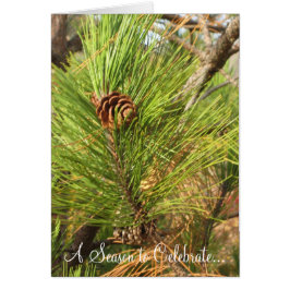 Eine Jahreszeit zum Feiern...