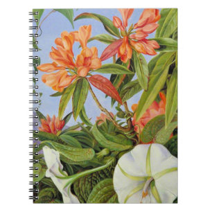 Eine Javan Rhododendrum und Ipomoea Notizblock