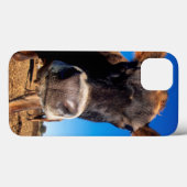 Eine Jersey-Kuh, die neugierig ist Case-Mate iPhone Hülle (Rückseite (Horizontal))