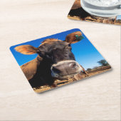 Eine Jersey-Kuh, die neugierig ist Rechteckiger Pappuntersetzer (angewinkelt)