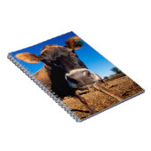 Eine Jerseykuh ist neugierig Notizblock (Rechte Seite)