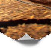 Eine Jerseykuh ist neugierig Poster (Ecke)