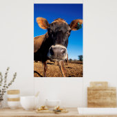 Eine Jerseykuh ist neugierig Poster (Küche)