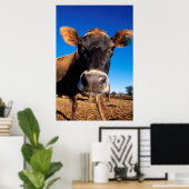 Eine Jerseykuh ist neugierig Poster (Heimbüro)
