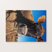 Eine Jerseykuh ist neugierig Puzzle (Horizontal)