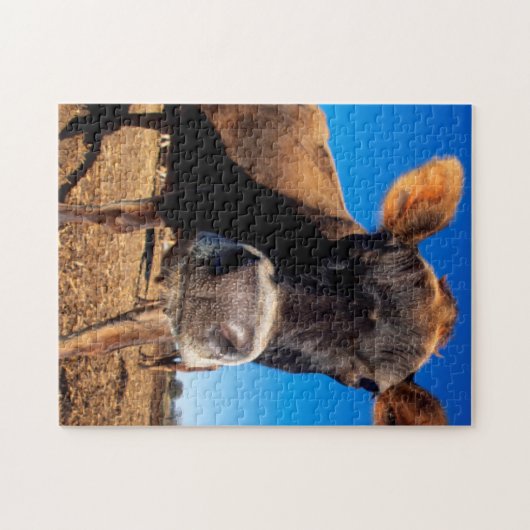 Eine Jerseykuh ist neugierig Puzzle (Horizontal)