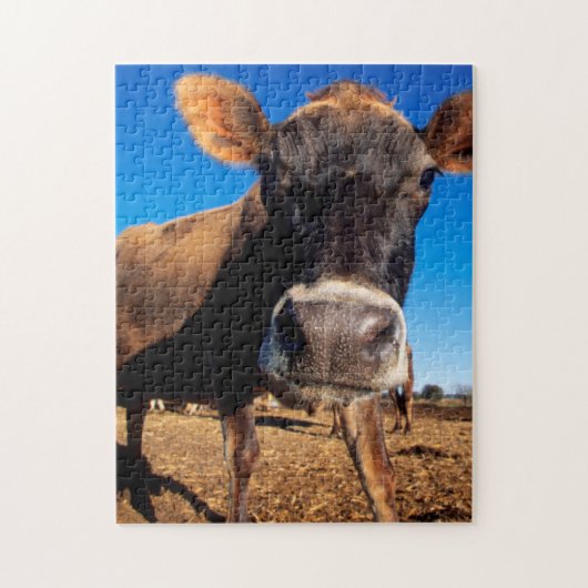 Eine Jerseykuh ist neugierig Puzzle (Vertikal)